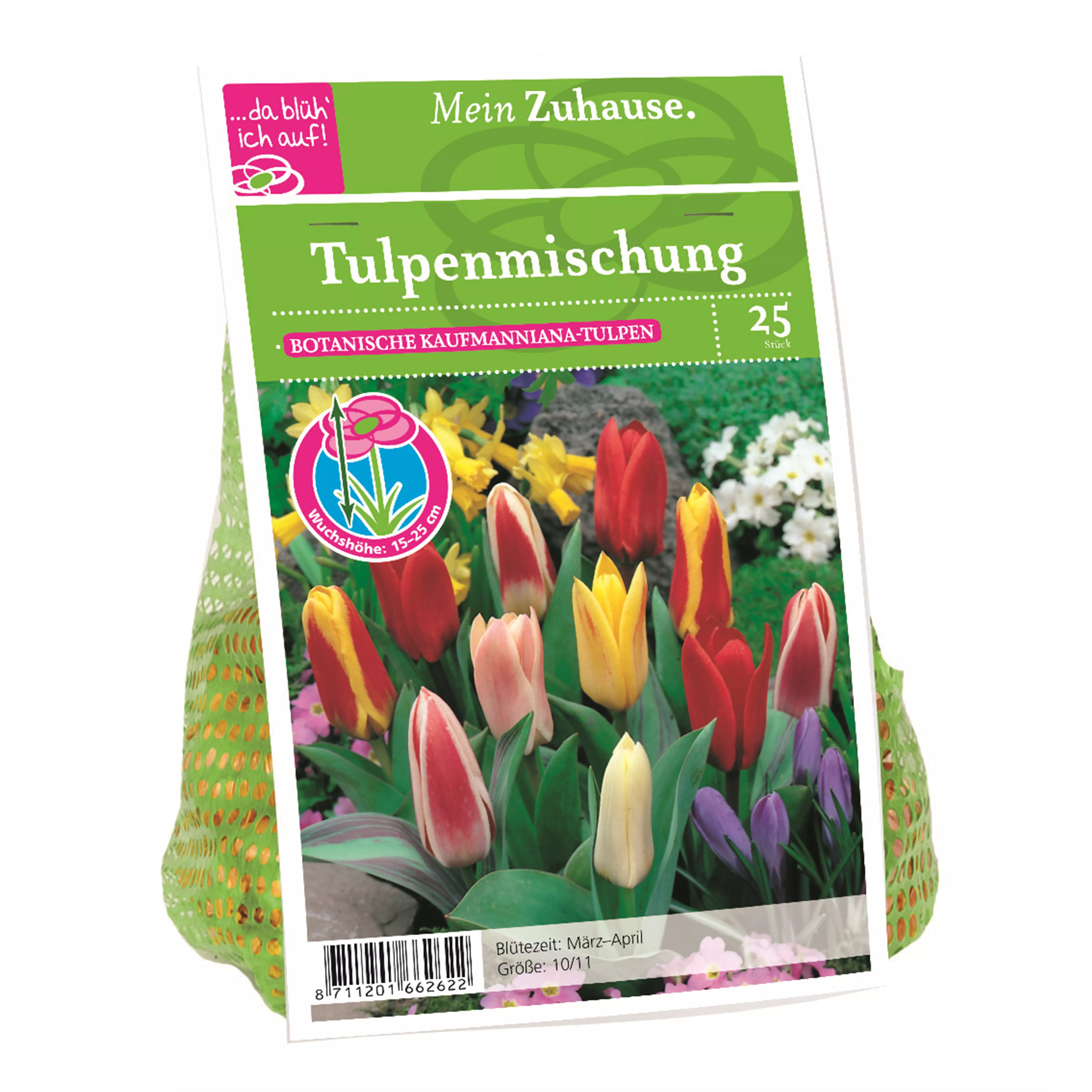 Blumenzwiebel Tulpe Kaufman. Misch.