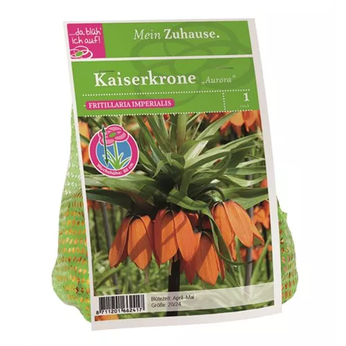 Blumenzwiebel Kaiserkrone orange